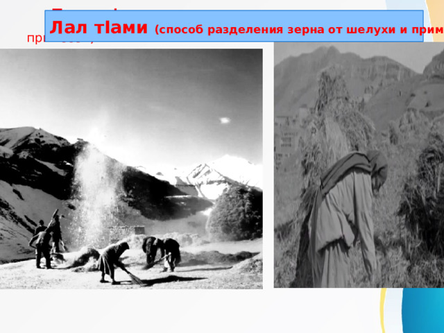  Лал тIами ( разделения зерна от шелухи и примесей) Лал тIами (способ разделения зерна от шелухи и примесей) 