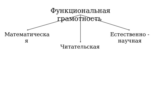 Функциональная грамотность Математическая  Естественно - научная Читательская  