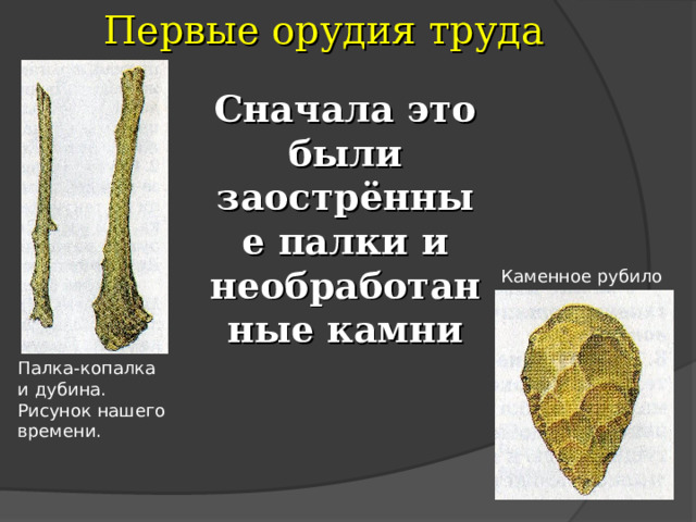 Первые орудия труда Сначала это были заострённые палки и необработанные камни Каменное рубило Палка-копалка и дубина. Рисунок нашего времени. 