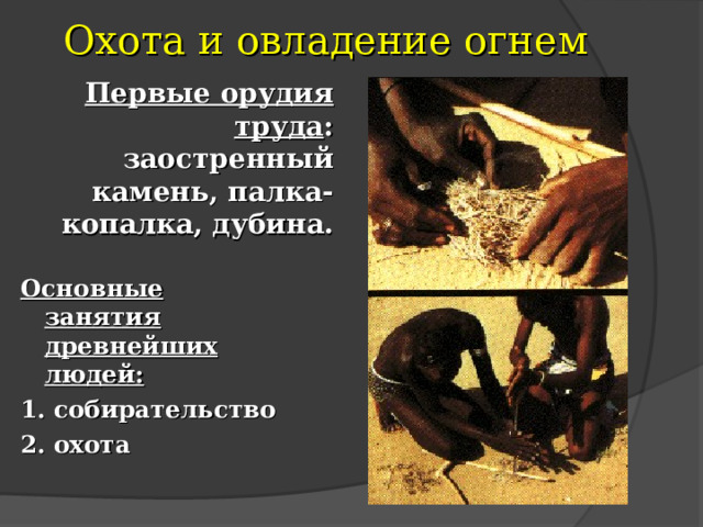 Охота и овладение огнем Первые орудия труда : заостренный камень, палка-копалка, дубина. Основные занятия древнейших людей: 1. собирательство 2. охота 