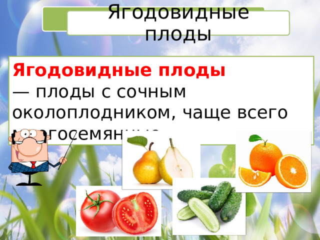 Ягодовидные плоды Ягодовидные плоды — плоды с сочным околоплодником, чаще всего многосемянные . 