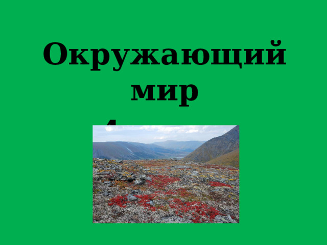 Окружающий мир 4 класс 