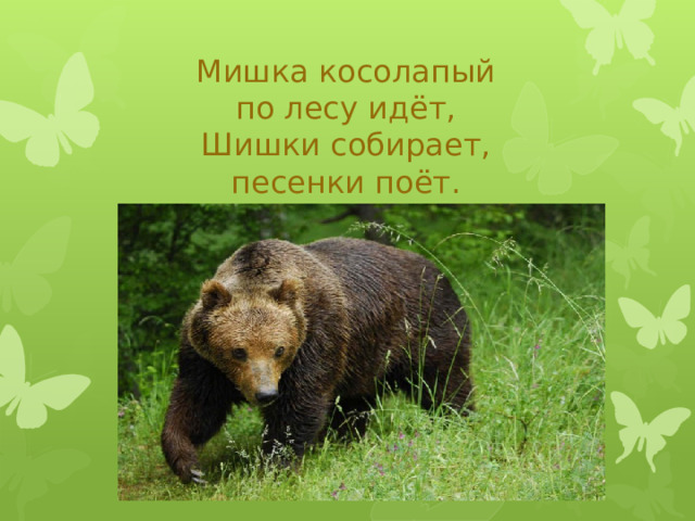 Мишка косолапый  по лесу идёт,  Шишки собирает,  песенки поёт. 