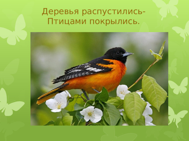 Деревья распустились-  Птицами покрылись.   