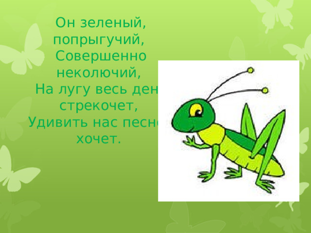 Он зеленый, попрыгучий,  Совершенно неколючий,  На лугу весь день стрекочет,  Удивить нас песней хочет.   