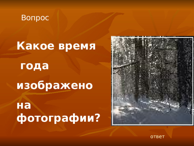 Вопрос Какое время  года изображено на фотографии? ответ 