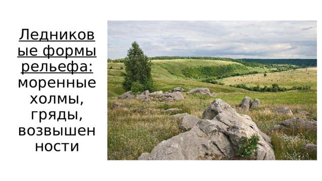 Ледниковые формы рельефа: моренные холмы, гряды, возвышенности 