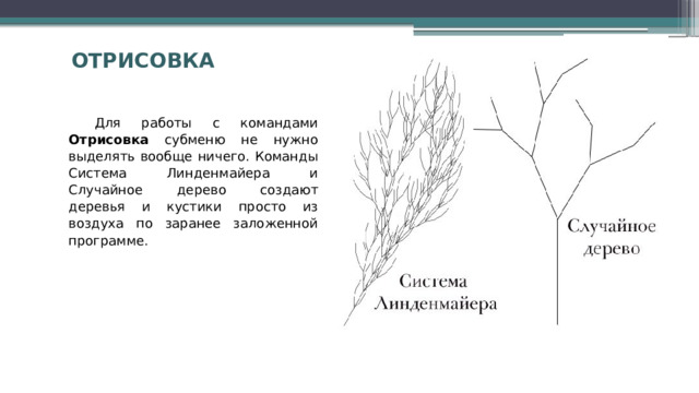 Отрисовка Для работы с командами Отрисовка субменю не нужно выделять вообще ничего. Команды Система Линденмайера и Случайное дерево создают деревья и кустики просто из воздуха по заранее заложенной программе. 