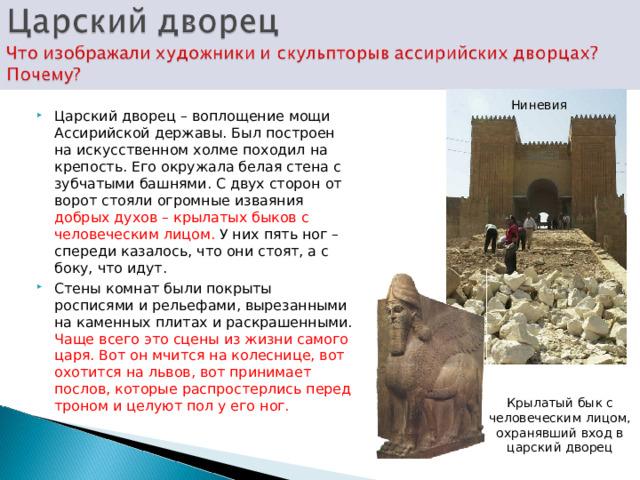 Ниневия Царский дворец – воплощение мощи Ассирийской державы. Был построен на искусственном холме походил на крепость. Его окружала белая стена с зубчатыми башнями. С двух сторон от ворот стояли огромные изваяния добрых духов – крылатых быков с человеческим лицом. У них пять ног – спереди казалось, что они стоят, а с боку, что идут. Стены комнат были покрыты росписями и рельефами, вырезанными на каменных плитах и раскрашенными. Чаще всего это сцены из жизни самого царя. Вот он мчится на колеснице, вот охотится на львов, вот принимает послов, которые распростерлись перед троном и целуют пол у его ног. Крылатый бык с человеческим лицом, охранявший вход в царский дворец 