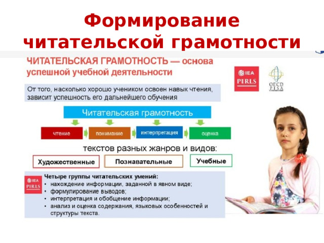 Формирование читательской грамотности 