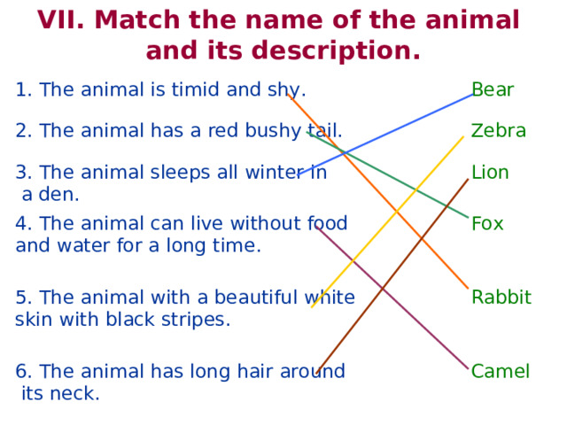 VII. Match the name of the animal and its description. 1. The animal is timid and shy. 2. The animal has a red bushy tail. Bear 3. The animal sleeps all winter in  a den. Zebra 4. The animal can live without food and water for a long time. Lion Fox 5. The animal with a beautiful white skin with black stripes. Rabbit 6. The animal has long hair around  its neck. Camel 