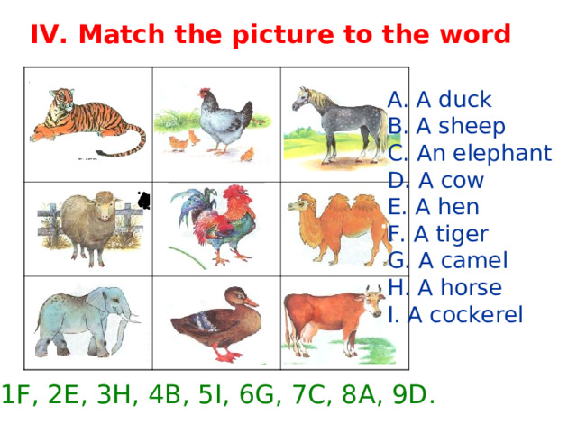 IV. Match the picture to the word 3. 1 . 2. A. A duck B. A sheep C. An elephant D. A cow E. A hen F. A tiger G. A camel H. A horse I. A cockerel 4. 6. 5. 4. 7. 8. 9. 1F, 2E, 3H, 4B, 5I, 6G, 7C, 8A, 9D. 