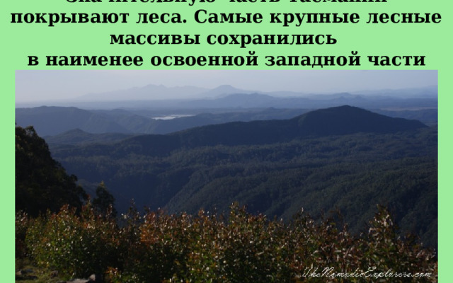 Значительную часть Тасмании покрывают леса. Самые крупные лесные массивы сохранились в наименее освоенной западной части острова. 