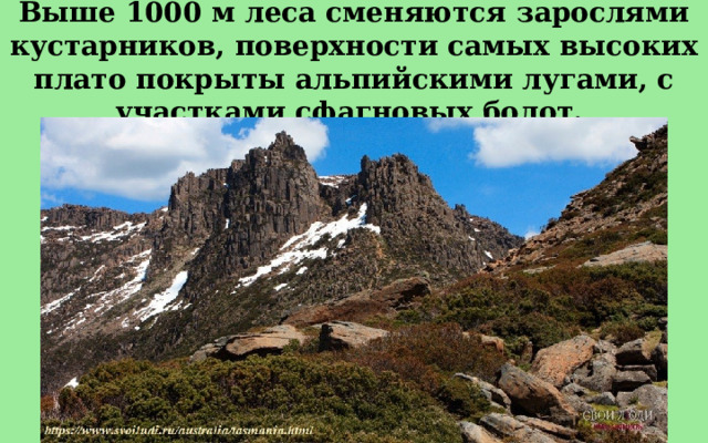 Выше 1000 м леса сменяются зарослями кустарников, поверхности самых высоких плато покрыты альпийскими лугами, с участками сфагновых болот.  