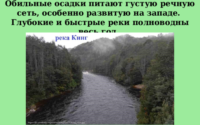 Обильные осадки питают густую речную сеть, особенно развитую на западе. Глубокие и быстрые реки полноводны весь год. 