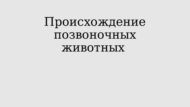 Происхождение позвоночных животных 