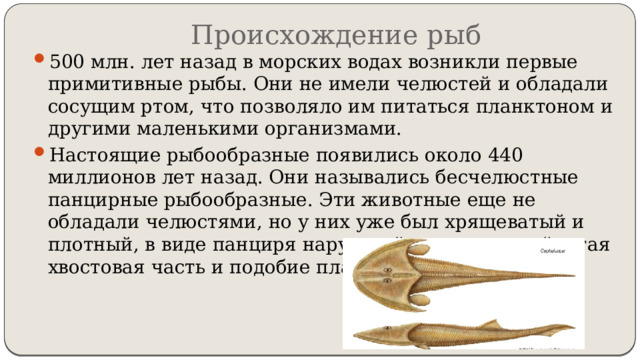 Происхождение рыб 500 млн. лет назад в морских водах возникли первые примитивные рыбы. Они не имели челюстей и обладали сосущим ртом, что позволяло им питаться планктоном и другими маленькими организмами. Настоящие рыбообразные появились около 440 миллионов лет назад. Они назывались бесчелюстные панцирные рыбообразные. Эти животные еще не обладали челюстями, но у них уже был хрящеватый и плотный, в виде панциря наружный скелет, чешуйчатая хвостовая часть и подобие плавников. 