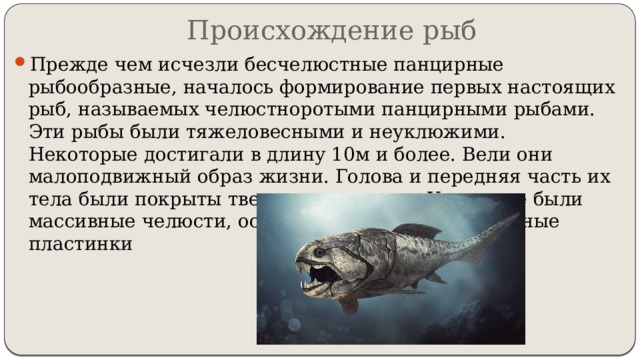 Происхождение рыб Прежде чем исчезли бесчелюстные панцирные рыбообразные, началось формирование первых настоящих рыб, называемых челюстноротыми панцирными рыбами. Эти рыбы были тяжеловесными и неуклюжими. Некоторые достигали в длину 10м и более. Вели они малоподвижный образ жизни. Голова и передняя часть их тела были покрыты твердым панцирем. У них уже были массивные челюсти, острые зубы и дробящие зубные пластинки 