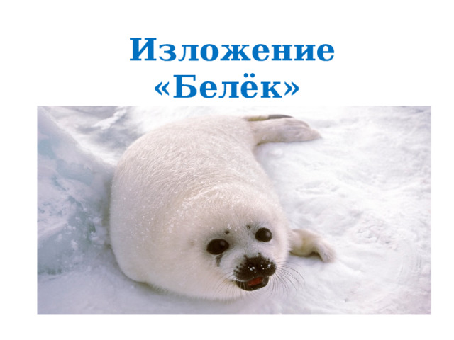  Изложение «Белёк» По тексту С. Сахарова. Упражнение № 208. В.П.Канакина «Русский язык» 2 класс 
