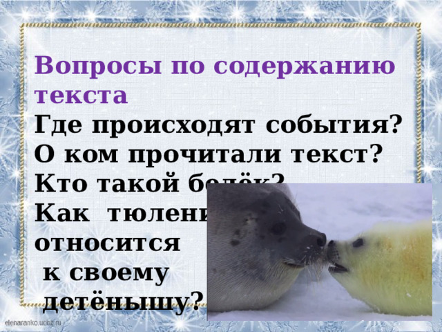  Вопросы по содержанию текста Где происходят события? О ком прочитали текст? Кто такой белёк? Как тюлениха относится  к своему  детёнышу? 