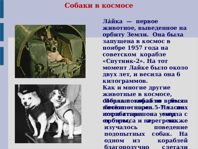 Собаки в космосе Ла́йка — первое животное, выведенное на орбиту Земли. Она была запущена в космос в ноябре 1957 года на советском корабле «Спутник-2». На тот момент Лайке было около двух лет, и весила она 6 килограммов. Как и многие другие животные в космосе, собака погибла во время полёта — через 5-7 часов после старта она умерла от стресса и перегрева. Первые корабли были беспилотными. На них отрабатывался сход с орбиты, а также изучалось поведение подопытных собак. На одном из кораблей благополучно слетали Белка и Стрелка. 