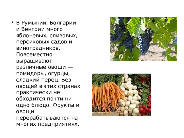 В Румынии, Болгарии и Венгрии много яблоневых, сливовых, персиковых садов и виноградников. Повсеместно выращивают различные овощи — помидоры, огурцы, сладкий перец. Без овощей в этих странах практически не обходится почти ни одно блюдо. Фрукты и овощи перерабатываются на многих предприятиях. 