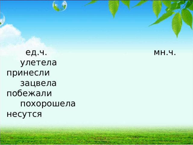  ед.ч. мн.ч.  улетела принесли  зацвела побежали  похорошела несутся 