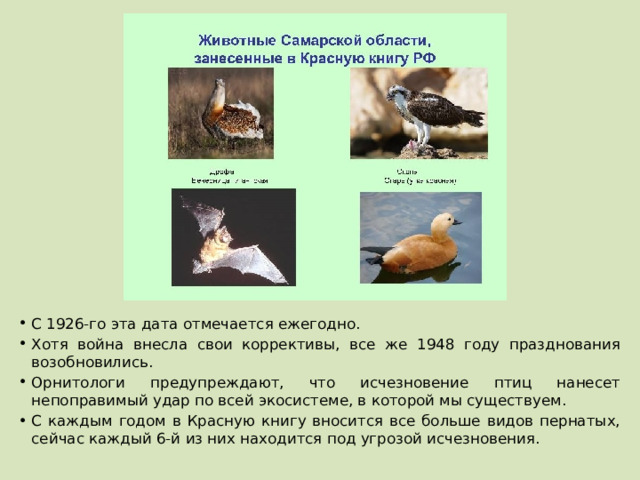 С 1926-го эта дата отмечается ежегодно. Хотя война внесла свои коррективы, все же 1948 году празднования возобновились. Орнитологи предупреждают, что исчезновение птиц нанесет непоправимый удар по всей экосистеме, в которой мы существуем. С каждым годом в Красную книгу вносится все больше видов пернатых, сейчас каждый 6-й из них находится под угрозой исчезновения. 
