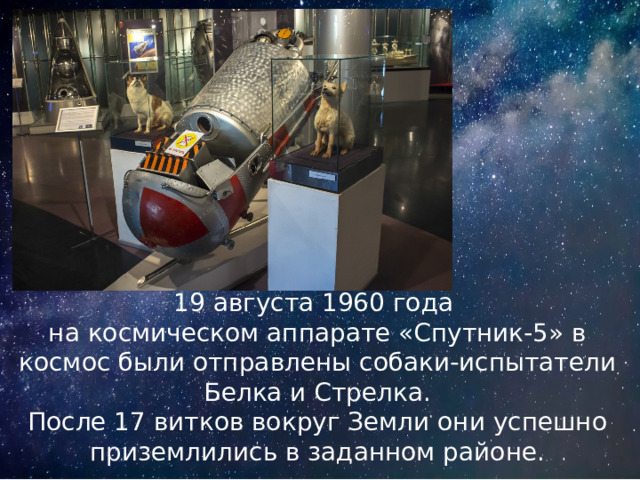 19 августа 1960 года  на космическом аппарате «Спутник-5» в космос были отправлены собаки-испытатели Белка и Стрелка.  После 17 витков вокруг Земли они успешно приземлились в заданном районе. 
