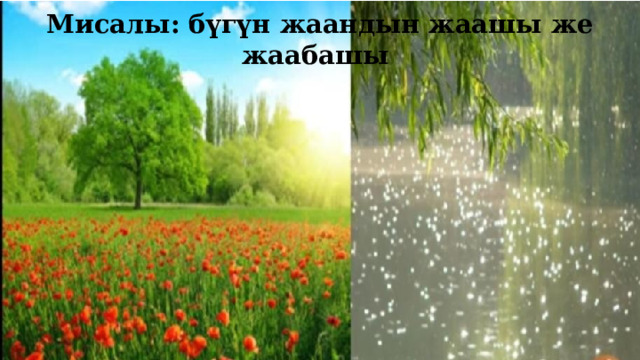 Мисалы: бүгүн жаандын жаашы же жаабашы 
