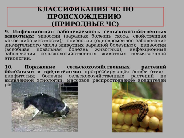  КЛАССИФИКАЦИЯ ЧС ПО ПРОИСХОЖДЕНИЮ   (ПРИРОДНЫЕ ЧС)   9. Инфекционная заболеваемость сельскохозяйственных животных: энзоотии (заразная болезнь скота, свойственная какой-либо местности); эпизоотии (одновременное заболевание значительного числа животных заразной болезнью); панзоотии (всеобщая повальная болезнь животных); инфекционные заболевания сельскохозяйственных животных невыявленной этиологии. 10. Поражение сельскохозяйственных растений болезнями и вредителями: прогрессирующая эпифитотия; панфитотия; болезни сельскохозяйственных растений не выявленной этиологии; массовое распространение вредителей растений. 