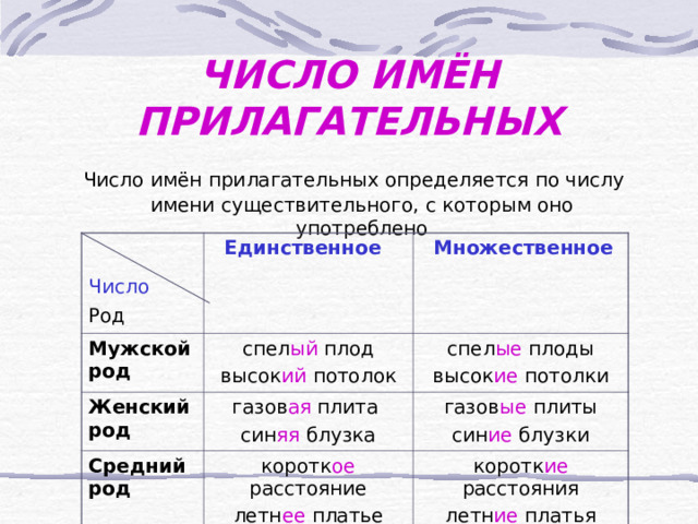 ЧИСЛО ИМЁН ПРИЛАГАТЕЛЬНЫХ  Число имён прилагательных определяется по числу имени существительного, с которым оно употреблено  Число  Мужской род Род  Единственное  Множественное спел ый плод высок ий потолок Женский род спел ые плоды высок ие потолки Средний род газов ая плита син яя блузка газов ые плиты син ие блузки коротк ое расстояние летн ее платье коротк ие расстояния летн ие платья 