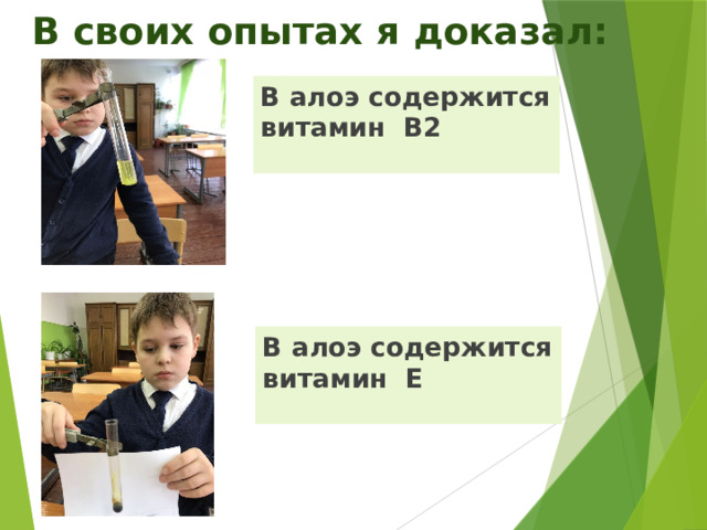  В своих опытах я доказал: В алоэ содержится витамин В2 В алоэ содержится витамин Е 