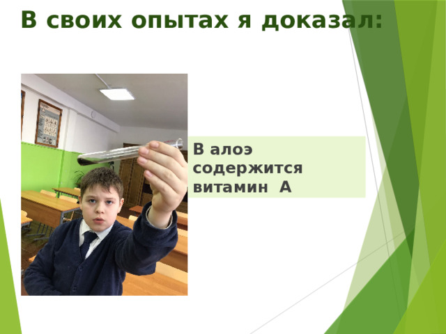  В своих опытах я доказал: В алоэ содержится витамин А 