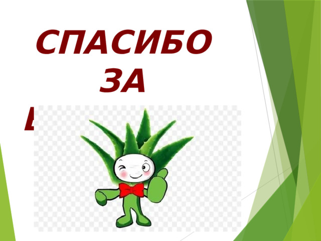 СПАСИБО  ЗА ВНИМАНИЕ ! 