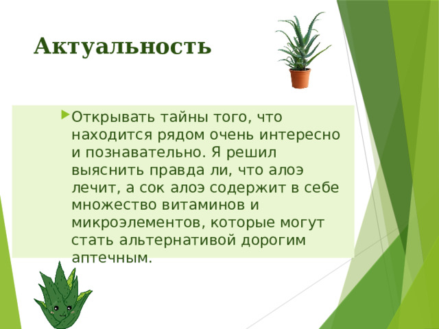 Актуальность Открывать тайны того, что находится рядом очень интересно и познавательно. Я решил выяснить правда ли, что алоэ лечит, а сок алоэ содержит в себе множество витаминов и микроэлементов, которые могут стать альтернативой дорогим аптечным. Открывать тайны того, что находится рядом очень интересно и познавательно. Я решил выяснить правда ли, что алоэ лечит, а сок алоэ содержит в себе множество витаминов и микроэлементов, которые могут стать альтернативой дорогим аптечным. Открывать тайны того, что находится рядом очень интересно и познавательно. Я решил выяснить правда ли, что алоэ лечит, а сок алоэ содержит в себе множество витаминов и микроэлементов, которые могут стать альтернативой дорогим аптечным. 