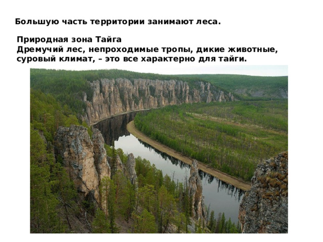 Большую часть территории занимают леса. Природная зона Тайга Дремучий лес, непроходимые тропы, дикие животные, суровый климат, – это все характерно для тайги. 