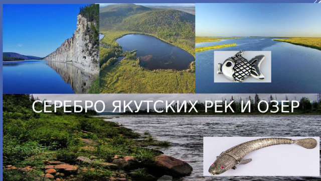 СЕРЕБРО ЯКУТСКИХ РЕК и озер 