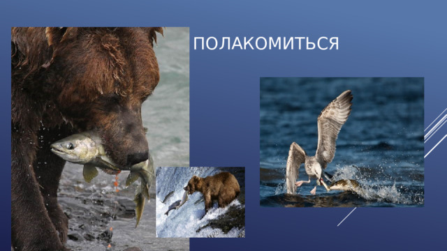  все любят полакомиться 