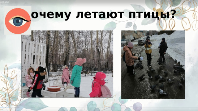 Почему летают птицы? 
