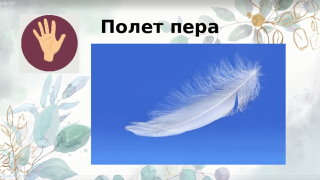 Полет пера 