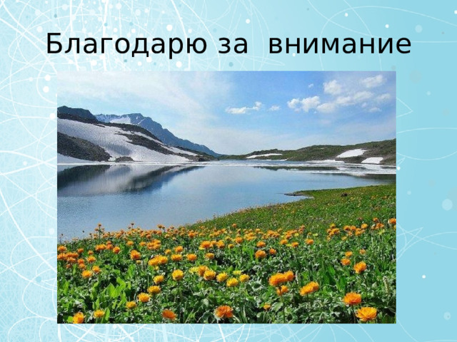 Благодарю за внимание 