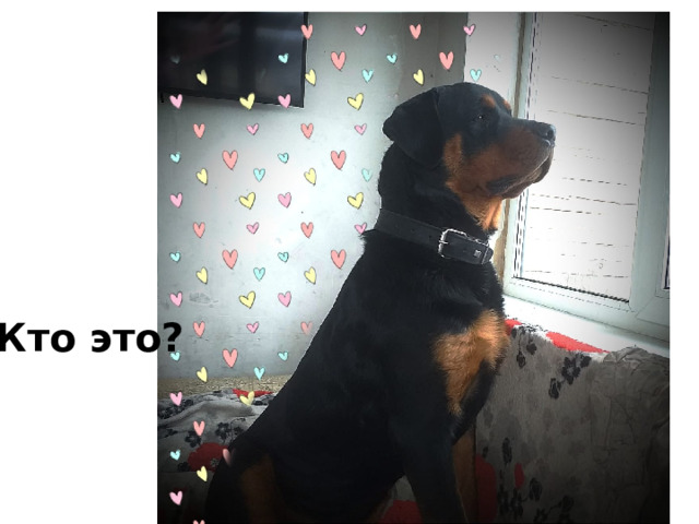 Кто это? 