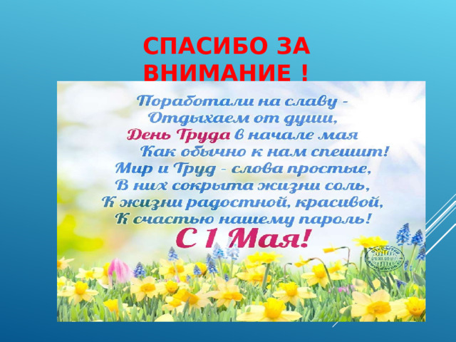 СПАСИБО ЗА ВНИМАНИЕ ! 