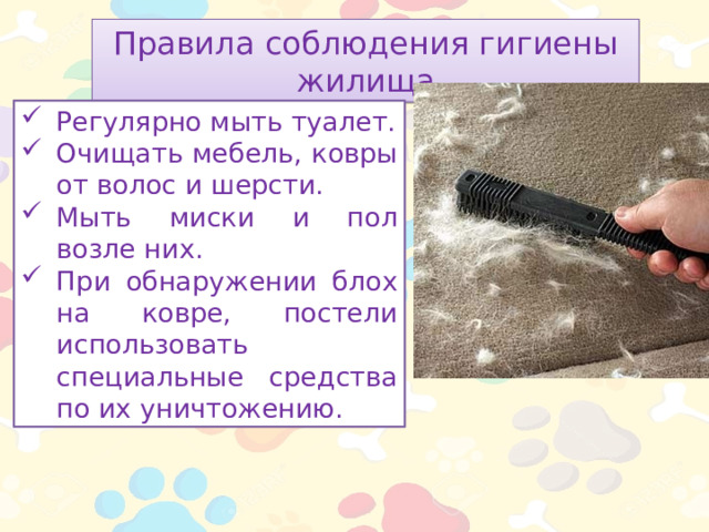 Правила соблюдения гигиены жилища Регулярно мыть туалет. Очищать мебель, ковры от волос и шерсти. Мыть миски и пол возле них. При обнаружении блох на ковре, постели использовать специальные средства по их уничтожению. 