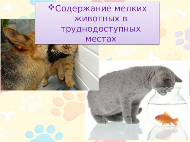 Содержание мелких животных в труднодоступных местах 