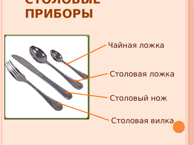 Столовые приборы Чайная ложка Столовая ложка Столовый нож Столовая вилка 