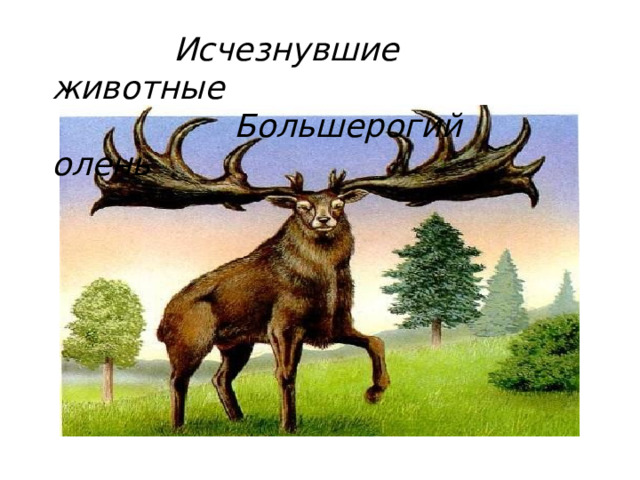  Исчезнувшие животные  Большерогий олень 