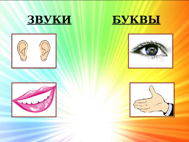 Звуки      БУКВЫ 