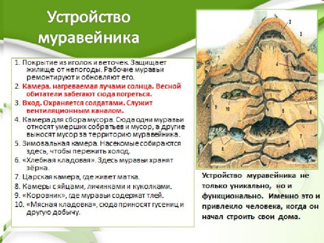 схема  